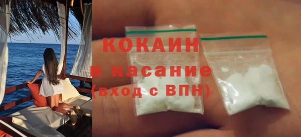 индика Осташков