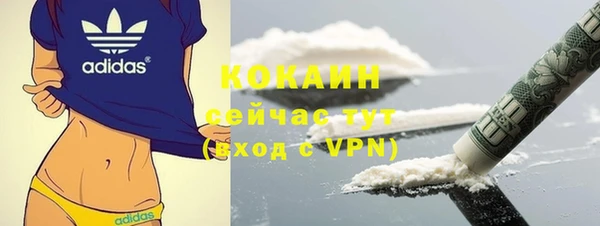 индика Осташков