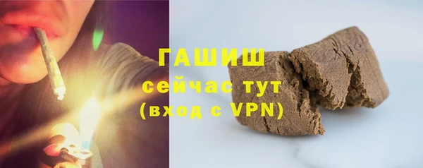 индика Осташков