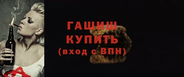 индика Осташков