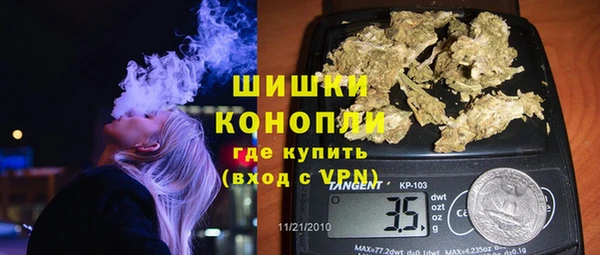 индика Осташков