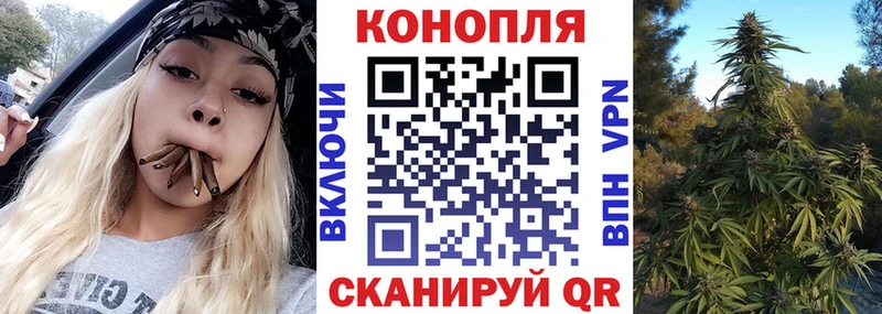 Конопля Bruce Banner Тырныауз
