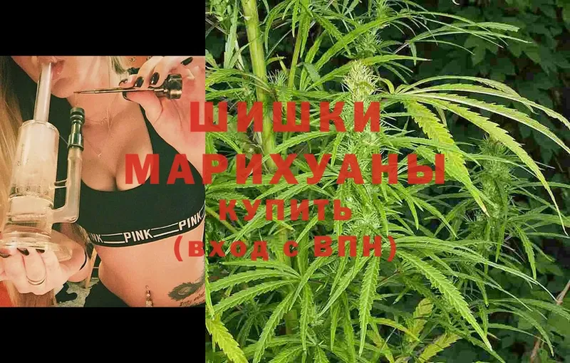 даркнет наркотические препараты  Тырныауз  мега как войти  МАРИХУАНА SATIVA & INDICA  где купить наркоту 